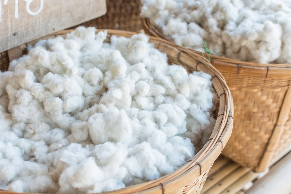 What is Organic Cotton?